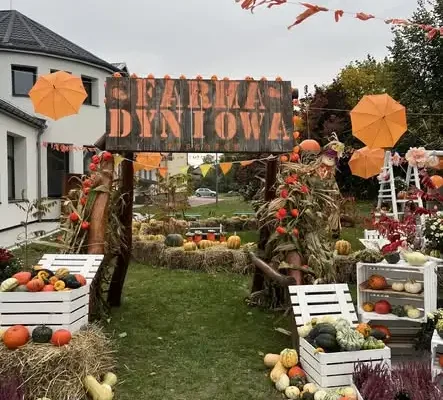 Farma Dyniowa w Tyszowcach już otwarta – jesienny festiwal pełen atrakcji