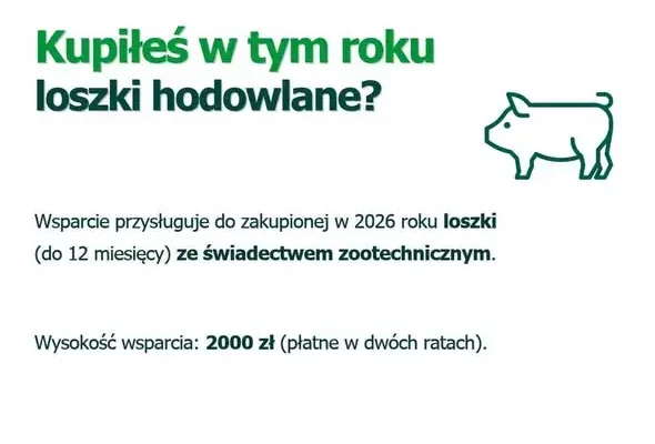 Nowe nabory dla rolników: rekompensaty za przymrozki, grad i upały oraz wsparcie na loszki