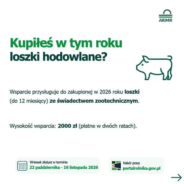 Nowe nabory dla rolników: rekompensaty za przymrozki, grad i upały oraz wsparcie na loszki