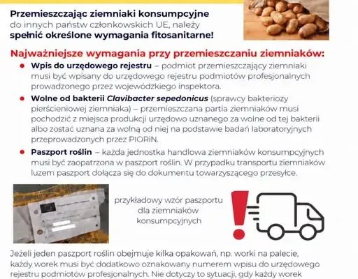 Nowe wymogi fitosanitarne dla ziemniaków wysyłanych z Polski do UE