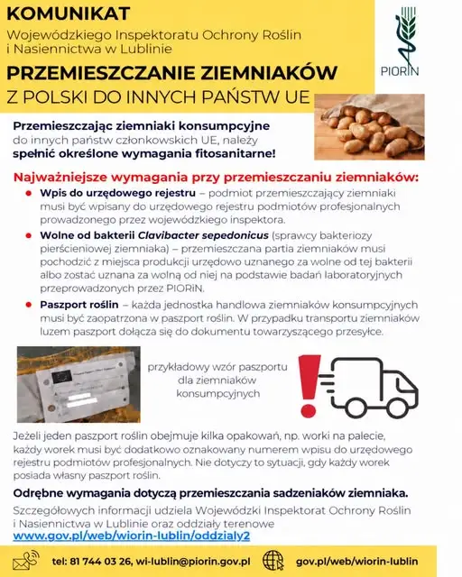 Nowe wymogi fitosanitarne dla ziemniaków wysyłanych z Polski do UE